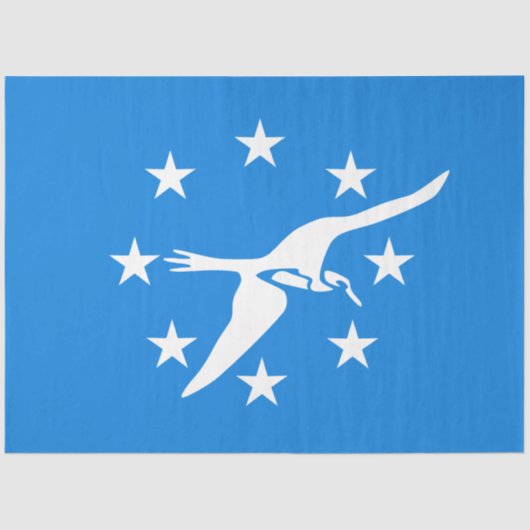 コーパスクリスティ市国旗(テキサス州) 薄葉紙 (正面)