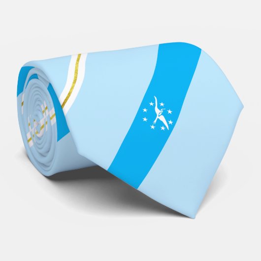 コーパスクリスティ(テキサス州)市旗ネックタイ ネクタイ (ロール)
