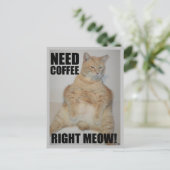 コーヒーが必要だ!マンクス・キャット・シッおもしろいチ ポストカード (スタンド正面)