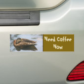 コーヒーが欲しい面白いアヒル バンパーステッカー (車上)