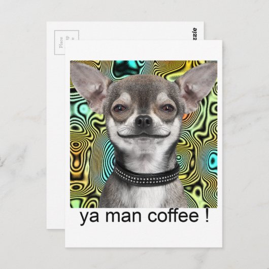コーヒーのために微笑しているチワワ犬 ポストカード (正面/裏面)