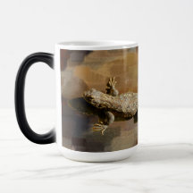 コーヒーのトカゲ