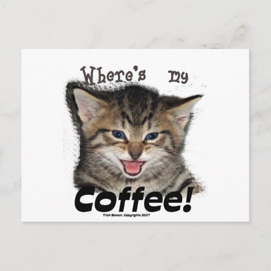 コーヒーの猫は? ポストカード (正面)