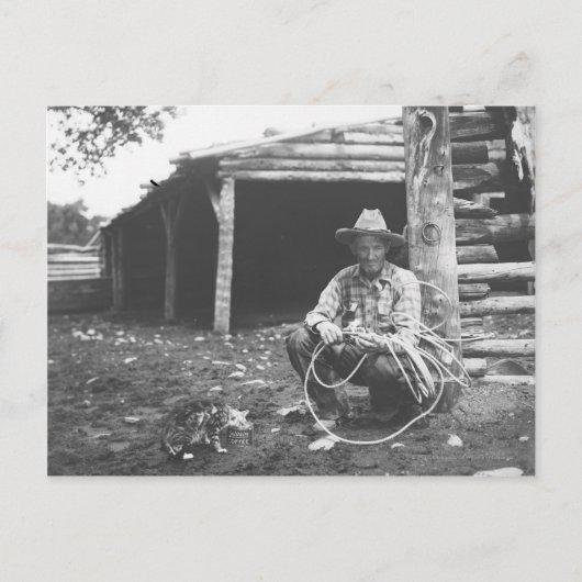 コーヒーの缶からの猫の食べ物 ポストカード (正面)