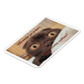 コーヒーを飲まないでおもしろい、 マグネット (左側)