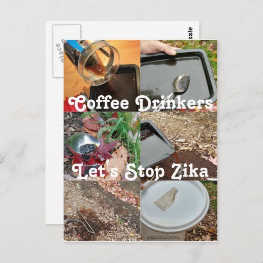 コーヒーを飲む人はRoseWritesストップによってジカを飲むことができる ポストカード (正面/裏面)