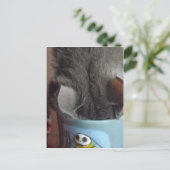 コーヒーを飲んだ!! ポストカード (スタンド正面)