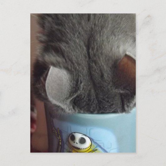 コーヒーを飲んだ!! ポストカード (正面)