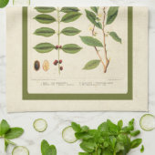 コーヒーアンティーク茶植物飲料植物図 キッチンタオル (折り畳み)