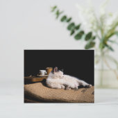 コーヒーキャット ポストカード (スタンド正面)