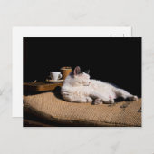 コーヒーキャット ポストカード (正面/裏面)