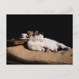 コーヒーキャット ポストカード