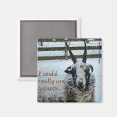 コーヒーシープマグネット#1 大切 - マグネット (正面/裏面)