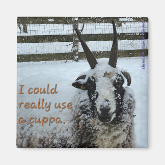 コーヒーシープマグネット#1 大切 - マグネット