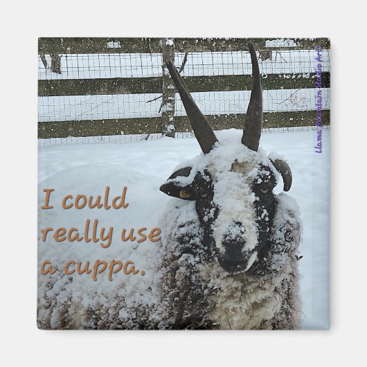 コーヒーシープマグネット#1 大切 - マグネット (正面)