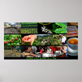コーヒーポスター ポスター