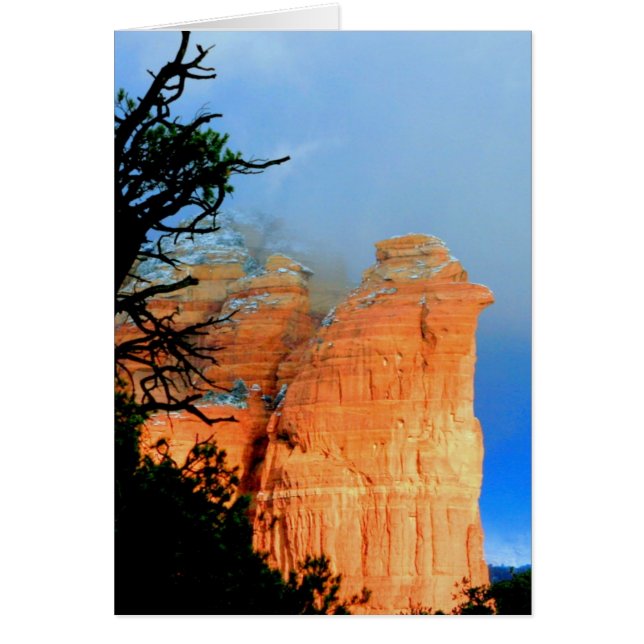 コーヒーポットロックイン雪 (正面)