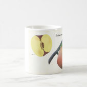 コーヒーマグと科学イラストレーション コーヒーマグカップ (中央)