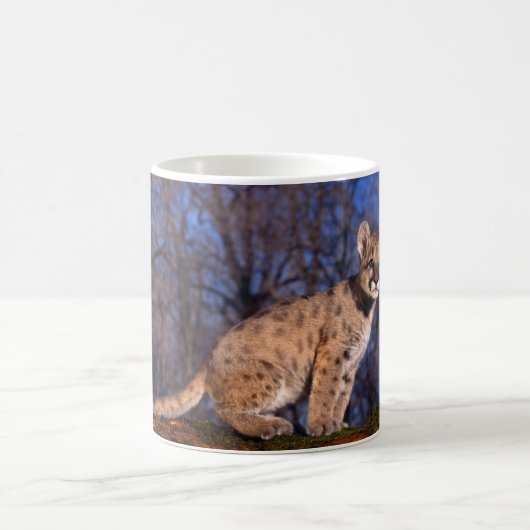 コーヒーマグクーガーカブス コーヒーマグカップ (中央)