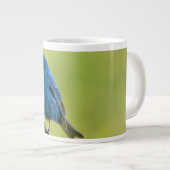 コーヒーマグ ジャンボコーヒーマグカップ (正面右)