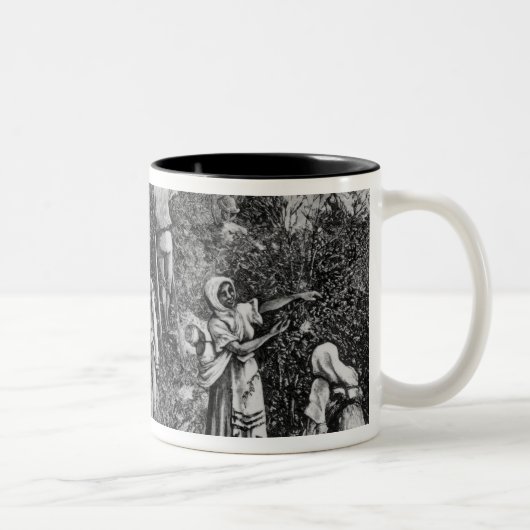 コーヒー収穫 ツートーンマグカップ (右)