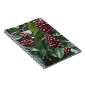 コーヒー好きのコーヒーツリー。 ノートブック (右側)