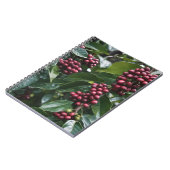 コーヒー好きのコーヒーツリー。 ノートブック (左側)