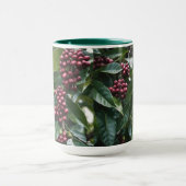 コーヒー好きのコーヒーツリー。 マグカップ (中央)