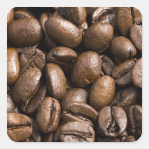 コーヒー好きの豆の茶色の背景 スクエアシール