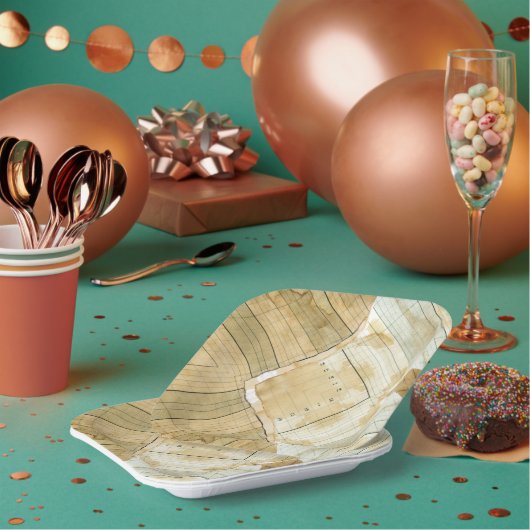 コーヒー汚れ会計士紙 ペーパープレート (複数)