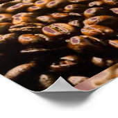 コーヒー豆の芸術ポスター ポスター (角)