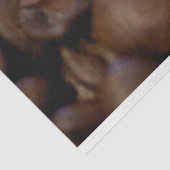 コーヒー豆キッチン20x30デコップバックグラウンド 薄葉紙 (詳細)