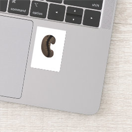 コーヒー豆シール シール