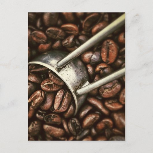 コーヒー豆 ポストカード (正面)