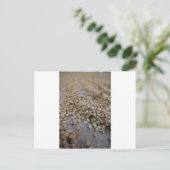 コーヒー豆 ポストカード (スタンド正面)