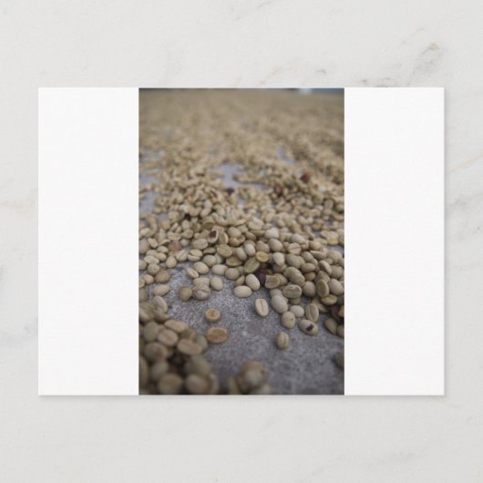 コーヒー豆 ポストカード (正面)