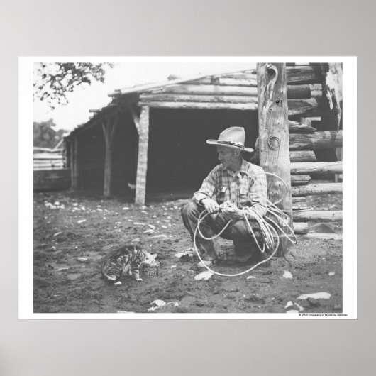 コーヒー食べ物缶から猫のコーヒー。 ポスター (正面)