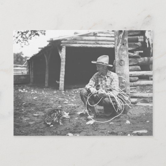 コーヒー食べ物缶から猫のコーヒー。 ポストカード (正面)