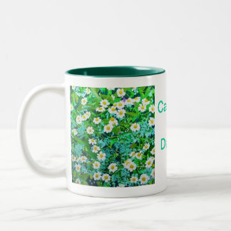 コーヒー・マグ ツートーンマグカップ