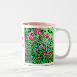 コーヒー・マグ ツートーンマグカップ