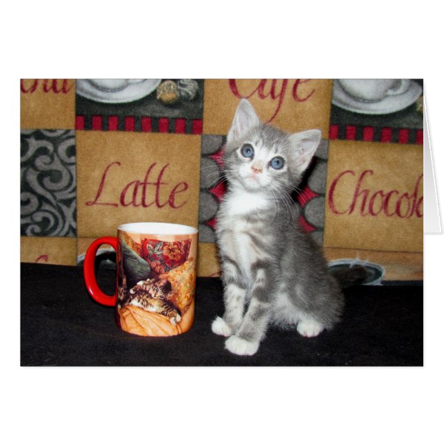 コーヒー、茶、または猫の鳴き声 (正面横)