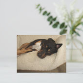 コービー ポストカード (スタンド正面)