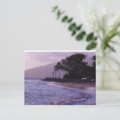 コーブパーク ポストカード (スタンド正面)