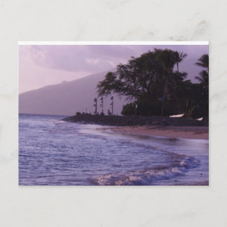 コーブパーク ポストカード