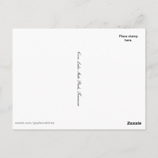 コーブレイク州パークテネシー葉書 ポストカード (裏面)