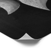 コーラスガールズポスタープリント- 1706502.jpg ポスター (角)