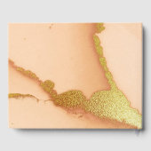 コーラモダンル抽象芸術💡インキー油結婚ズ ゲストブック (裏面)