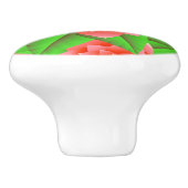 コーラルオレンジカメリアスグリーン葉ズ セラミックノブ (側面)