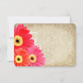 コーラルオレンジ ピンク ゲルバ ダイシーのウェディング 招待状 (裏面)