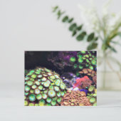コーラルカラフルリーフ ポストカード (スタンド正面)